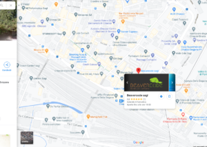 Iinserire la propria attività su Google Maps